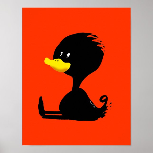 svart ankunge poster (Framsidan)