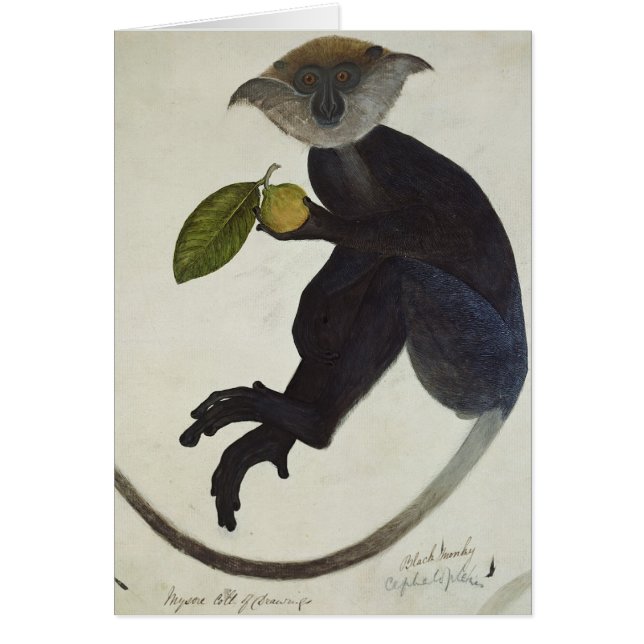 Svart apa hälsningskort (Framsidan)