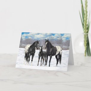 Svart Appaloosa-hästar i Snö Helgkort