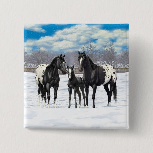 Svart Appaloosa-hästar i Snö Knapp