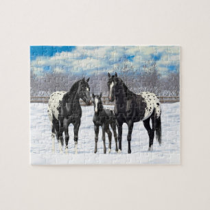 Svart Appaloosa-hästar i Snö Pussel