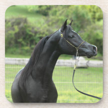 Svart arab på underlägg