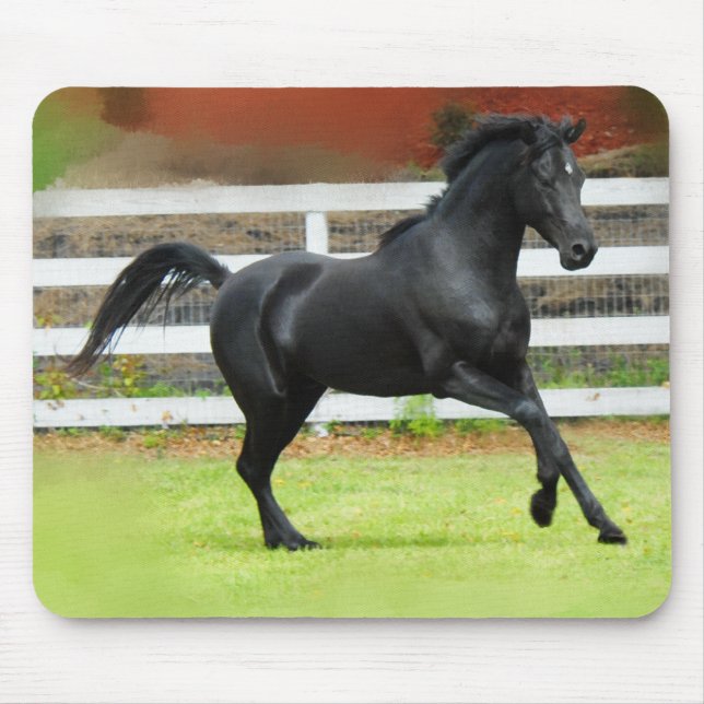 Svart arabisk hingst musmatta (Framsidan)