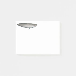 Svart Arawana Post-it Block
