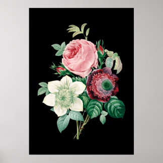 Svart bakgrund ro bouquet Redoute print Poster