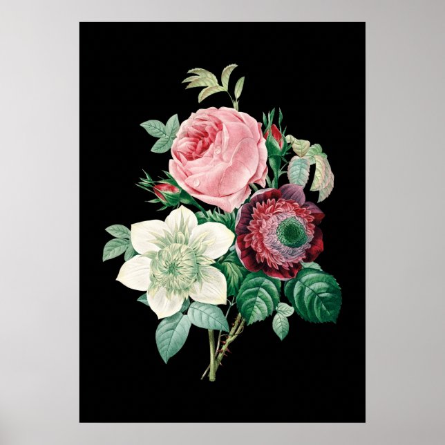 Svart bakgrund ro bouquet Redoute print Poster (Framsidan)