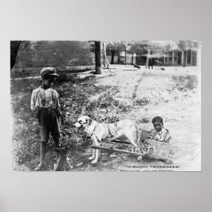 Svart barn med hunden drog vagnen fotograferar poster