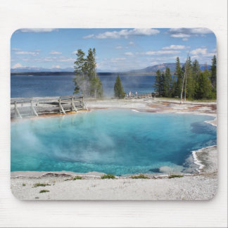 Svart bassäng musmatta