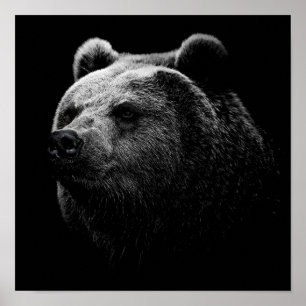 SVART BEAR. POSTER