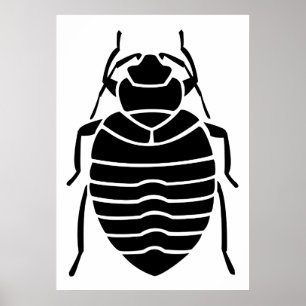 Svart bebug-Insekt Poster