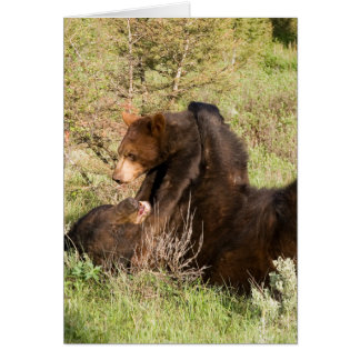 Svart björn hälsningskort