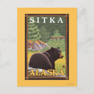 Svart björn i skog - Sitka, Alaska Vykort