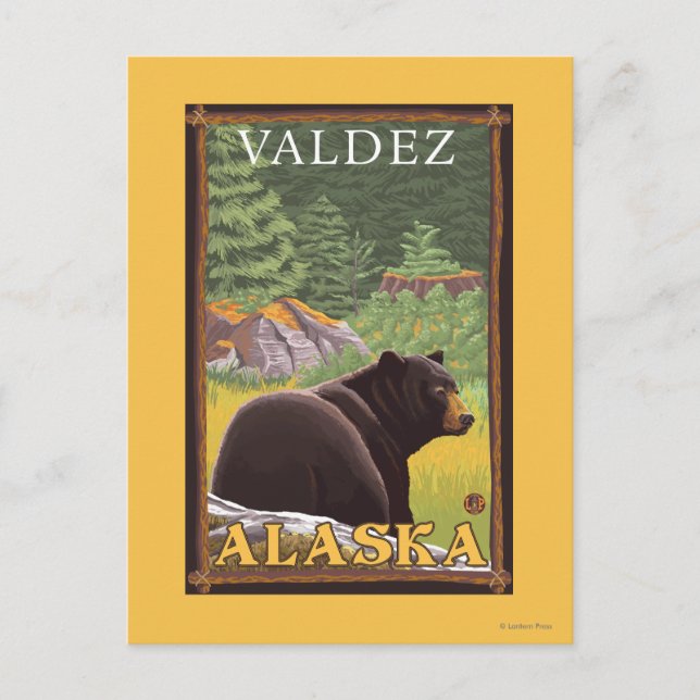Svart björn i skog - Valdez, Alaska Vykort (Framsida)