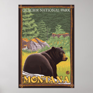 Svart björn i skogen - Glacier National Park, MT Poster