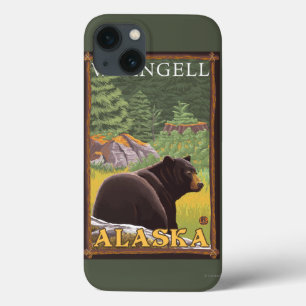 Svart björn i skogen - Wrangell, Alaska