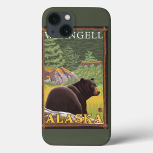Svart björn i skogen - Wrangell, Alaska