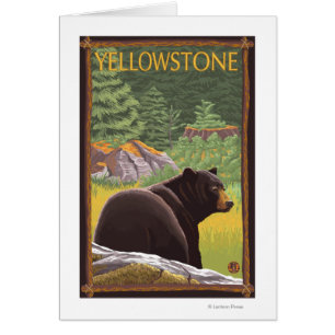 Svart björn i skogen - Yellowstone nationalpark Hälsningskort
