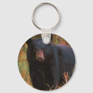 Svart björn nyckelring