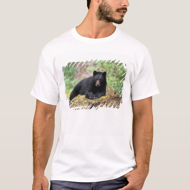 Svart björn på en gammal tillväxtlogg i t-shirt (Framsida)