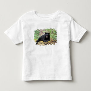 Svart björn på en gammal tillväxtstock i t shirt