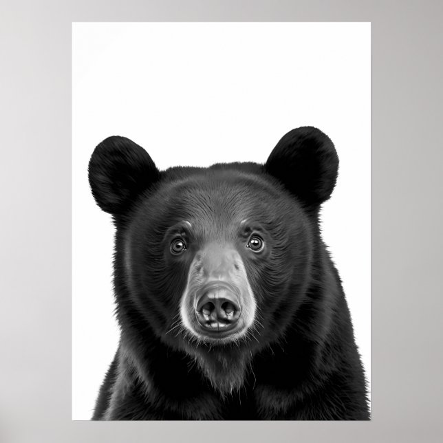 Svart Björn Skogsmark Modern Porträtt svart vitt Poster (Framsidan)