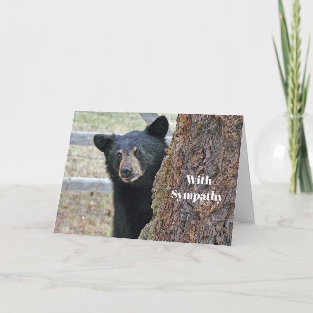 Svart björn Träd fotosympati Kort (Framsida)