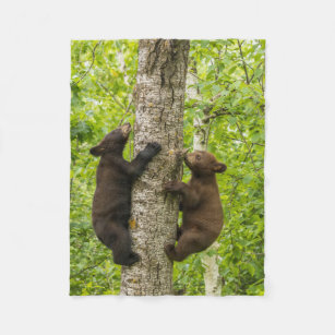 Svart björn Unge klättrar i Träd Fleecefilt