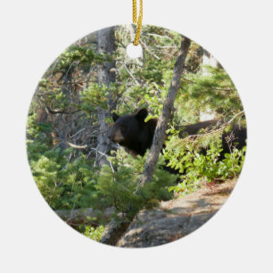 Svart björn vid Grand Teton Julgransprydnad Keramik