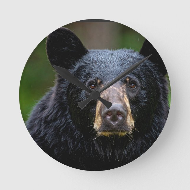 Svart Björn Vild Natur Design Rund Klocka (Framsida)