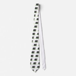 Svart björnslips slips