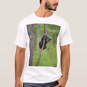 Svart björnunge leker, Tennessee T-shirt