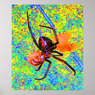 Svart blindspider Eating Poster