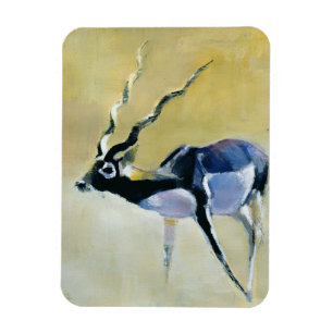 Svart bock Velavadar 1997 Magnet