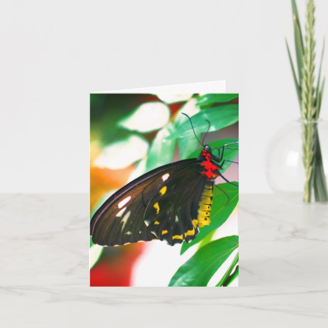 Svart Butterfly Nature-Anpassade Note Card Tack Kort (Framsida)