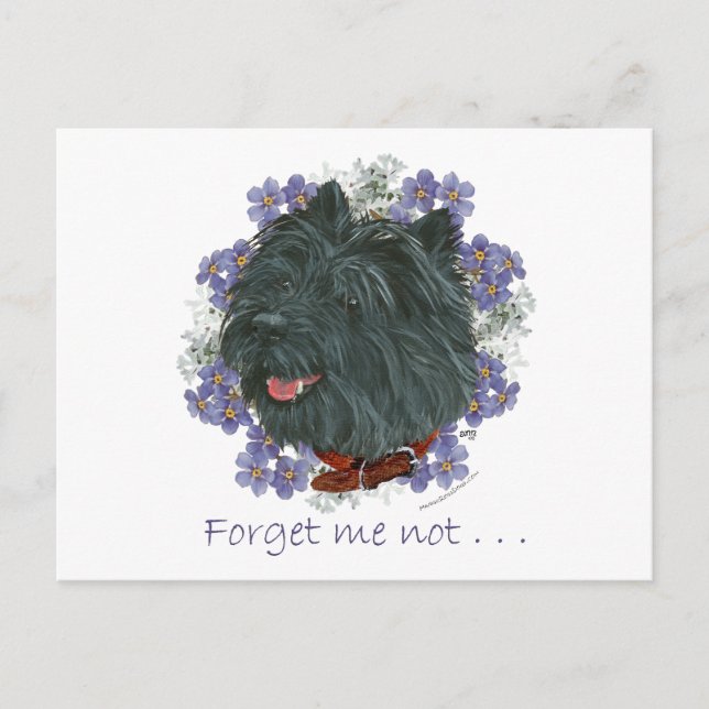 Svart Cairn Terrier Förgätmigej Vykort (Framsida)