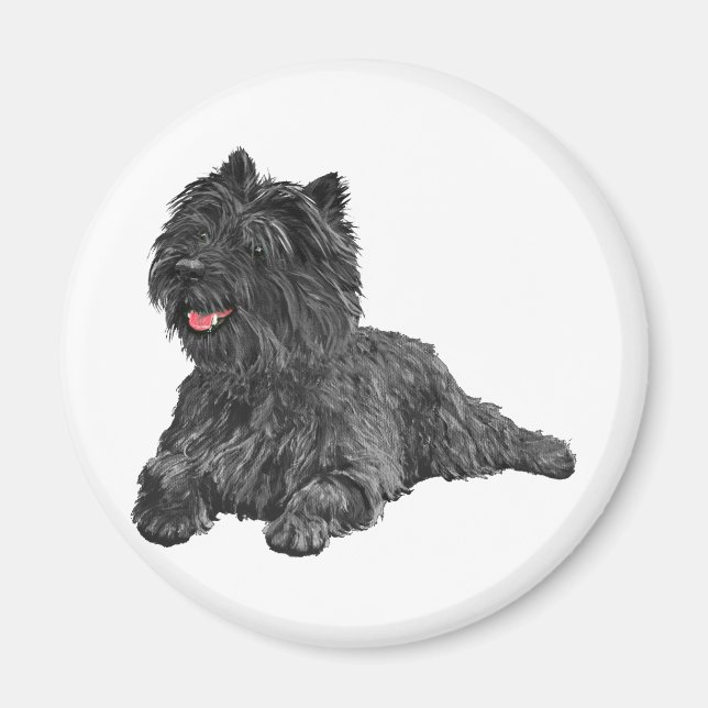 Svart Cairn Terrier Magnet (Framsidan)