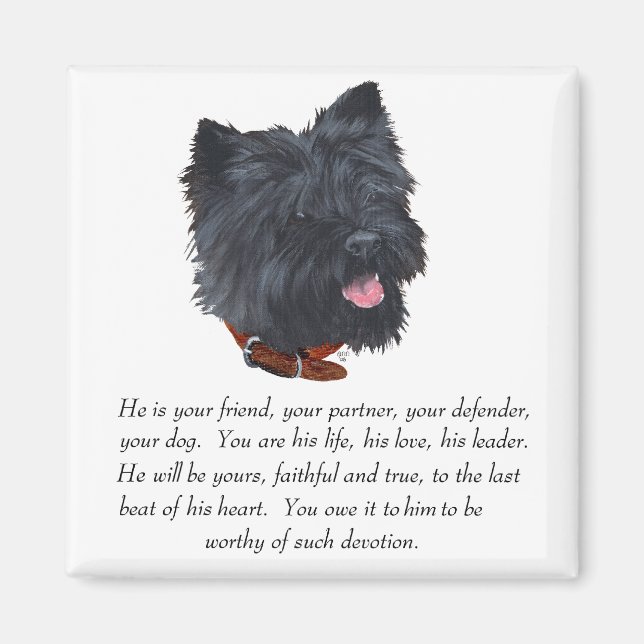 Svart Cairn Terrier Minnessak - Hane Magnet (Framsidan)