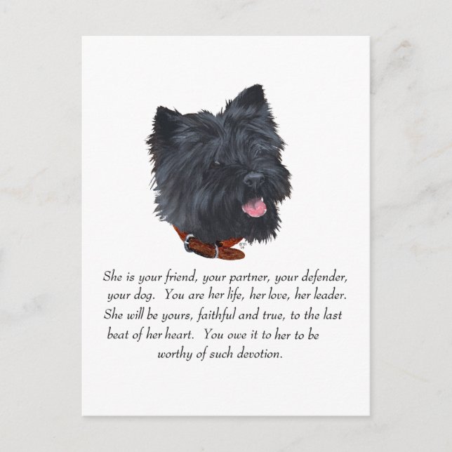 Svart Cairn Terrier Minnessak - Hona Vykort (Framsida)