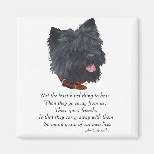 Svart Cairn Terrier Rainbow Bridge Magnet