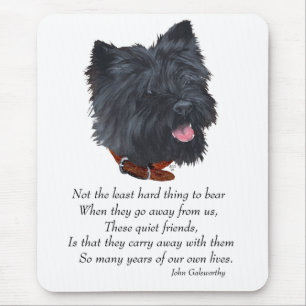 Svart Cairn Terrier Rainbow Bridge Musmatta