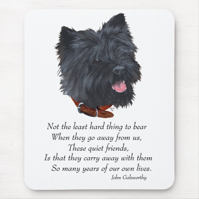 Svart Cairn Terrier Rainbow Bridge Musmatta (Framsidan)