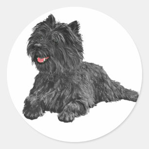 Svart Cairn Terrier Runt Klistermärke