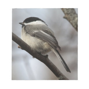 Svart Capped Chickadee Anteckningsblock