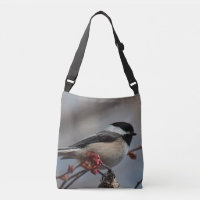 Svart-capped chickadee