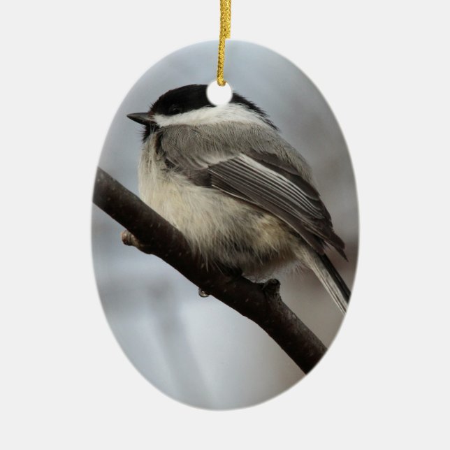 Svart Capped Chickadee Julgransprydnad Keramik (Framsidan)