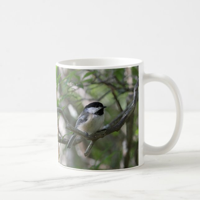 Svart-capped chickadee kaffemugg (Höger)