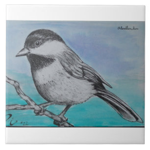 Svart capped chickadee kakelplatta