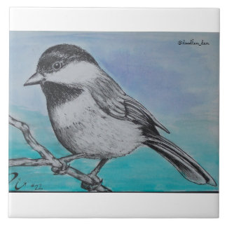 Svart capped chickadee kakelplatta