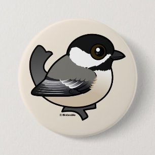 Svart-capped Chickadee Knapp
