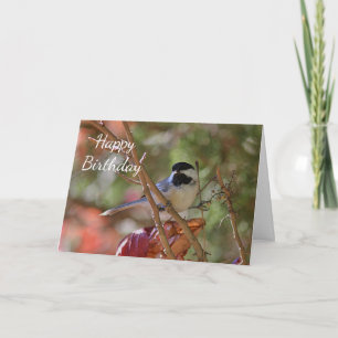 Svart-capped Chickadee Kort